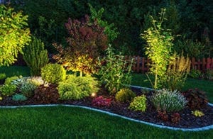 Pathway lighting is one of many great landscape lighting ideas for Mothers Day.